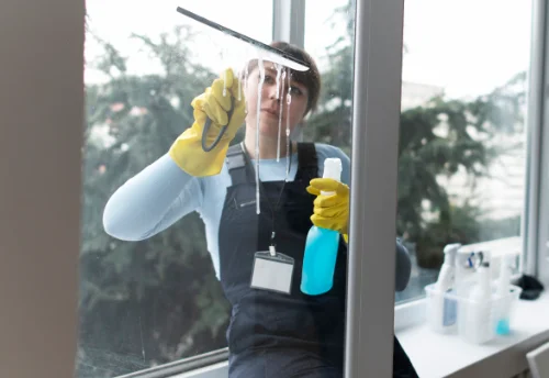 Nettoyage de vitres intérieures et extérieures à Niaux